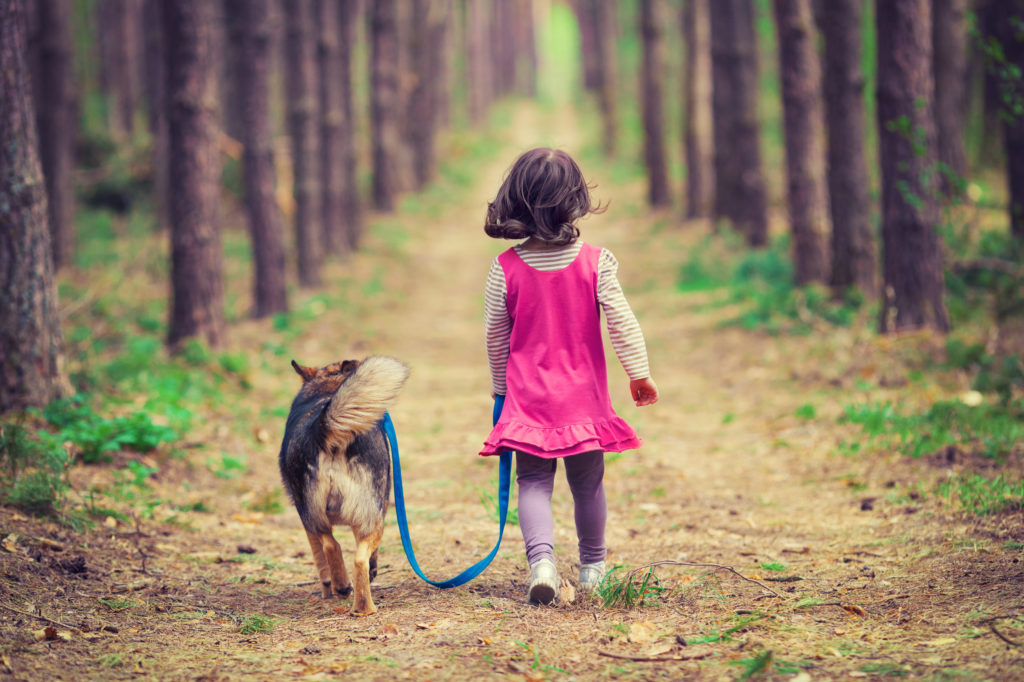 hund mit mädchen hund mit mädchen