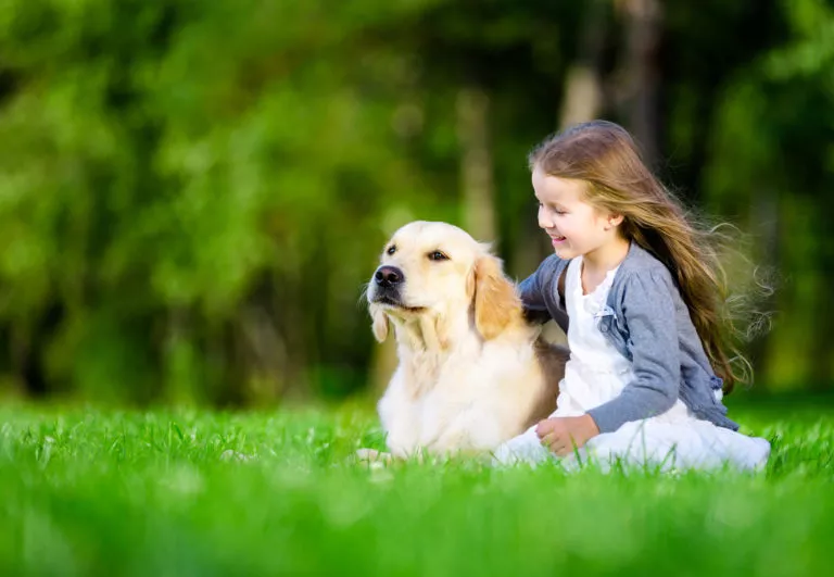 Jente med hund i parken om sommeren