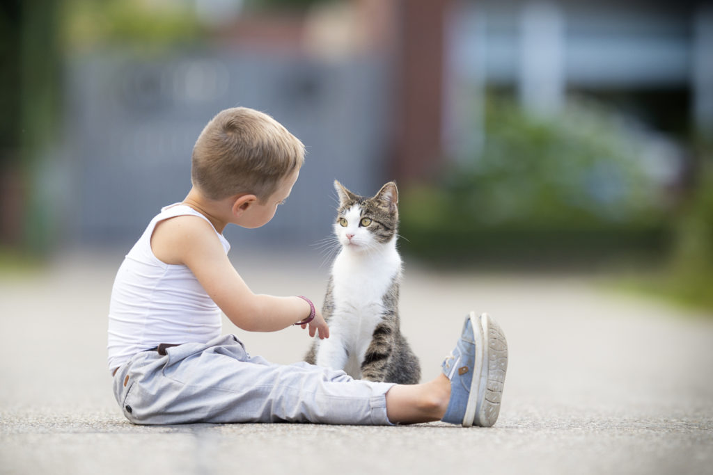 barn leker med katt barn leker med katt