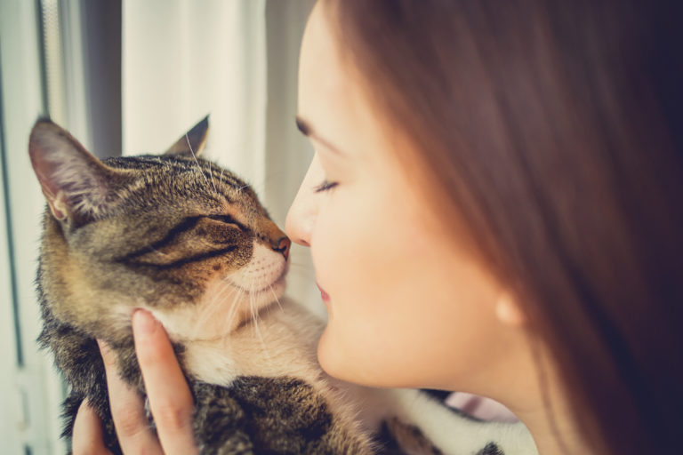 Kvinne som koser med en katt Kvinne som koser med en katt