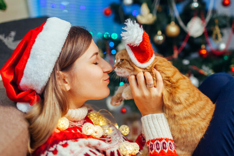 Julegaver til katt Julegaver til katt