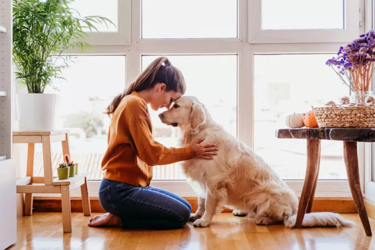 Luftetur med hund ved karantene