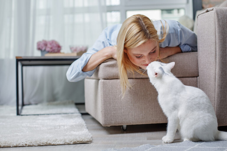Innekatt eller utekatt