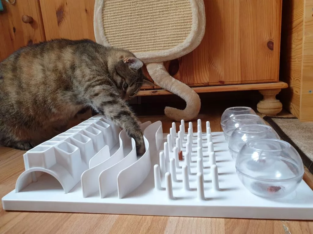 Katt som leker med et fôrlabyrint
