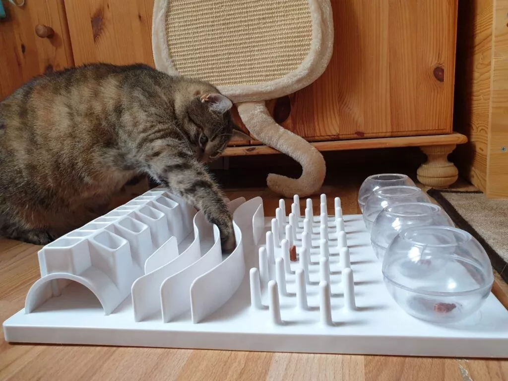 Katt jobber med intelligensleker Katt som leker med et fôrlabyrint